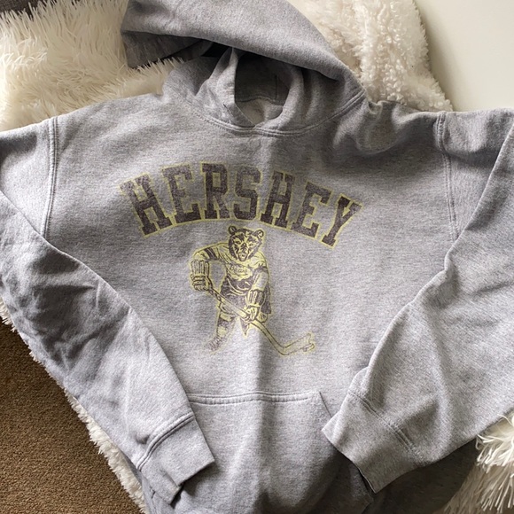 Other - Hershey Bears Hoodie Adult Small